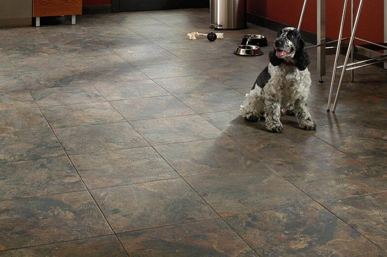 Voor eigenaren van gezelschapsdieren bieden linoleum-keukenvloeren veel van de resistente eigenschappen