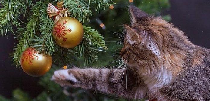 Één nieuw klein speelgoed voor Kerstmis