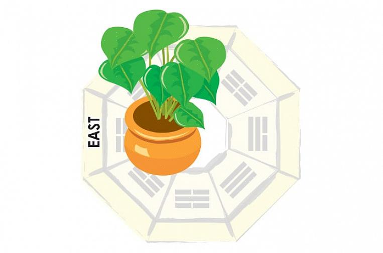 De mystieke knoop is een van de meest gebruikte symbolen in feng shui