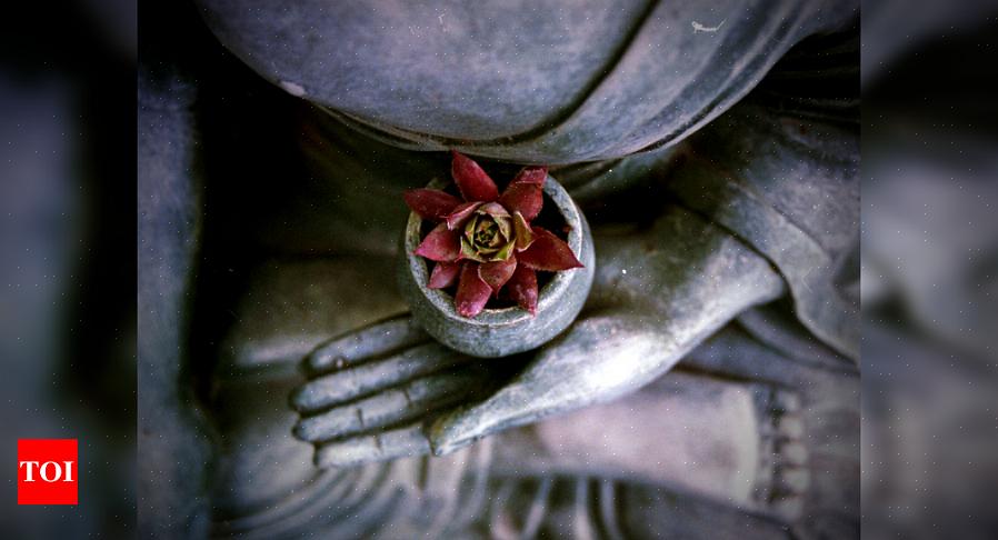 Laten we ons concentreren op het feng shui-gebruik van Chinese operamaskers