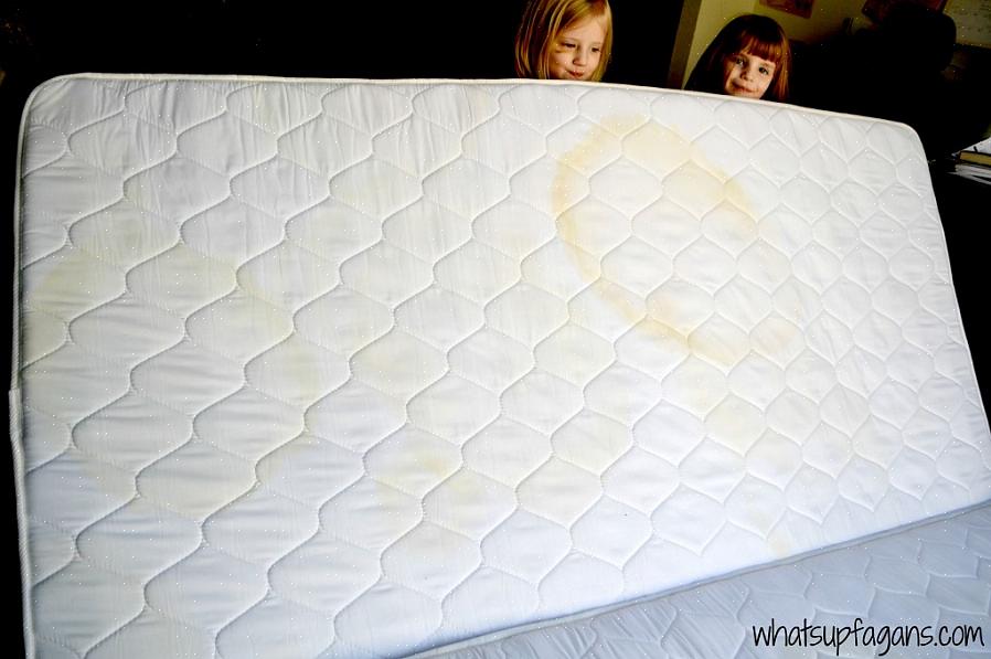 Wrijf met een borstel of een doek de zuiveringszout in de vlek op de matras