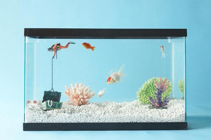 Er is geen betere manier om de energie van het water-feng shui-element te brengen dan met een fontein