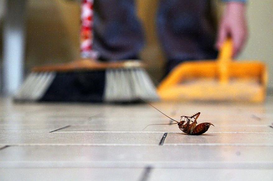 Ongediertebestrijding wordt meestal geassocieerd met chemische bestrijding met pesticiden