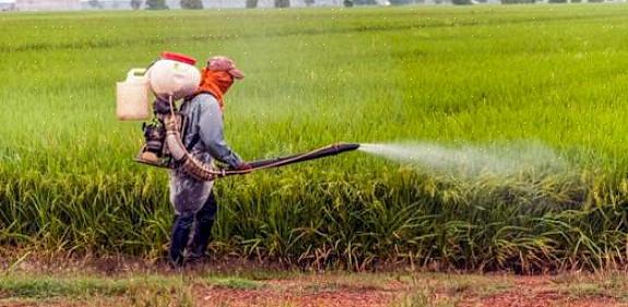 Pesticiden die in en rond het huis worden gebruikt