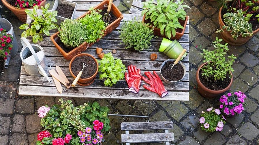 Hebben bewegende planten speciale aandacht nodig