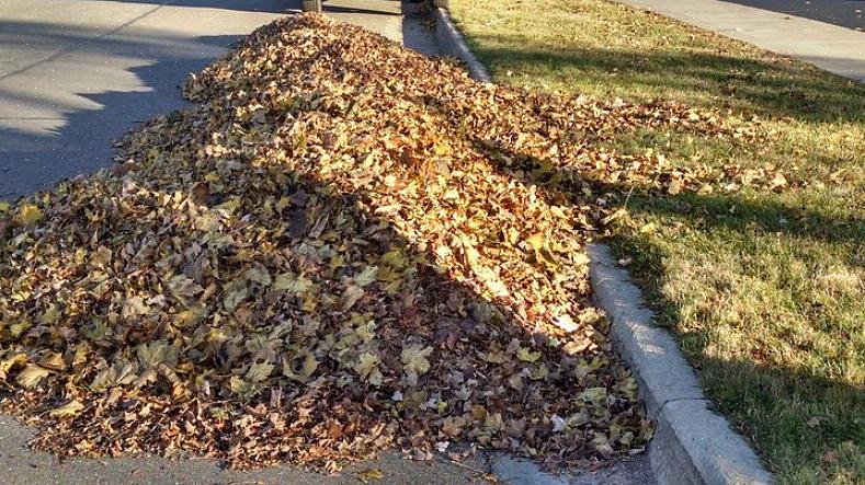 De Michigan State-studie geeft aan dat er geen verandering in de pH van de bodem was na zes seizoenen