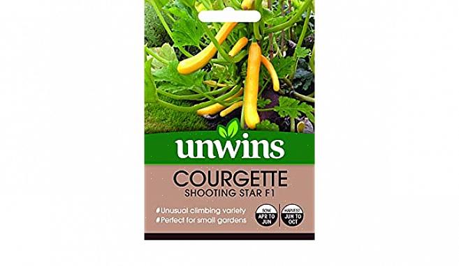 Misschien vindt u courgette uit het Zwarte Woud vermeld als een courgette