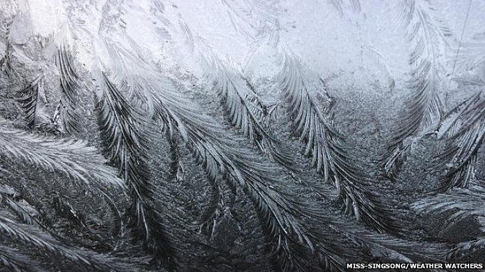 Dit gebeurt wanneer de temperatuur naar verwachting zal dalen tot een bereik van 36 graden Fahrenheit