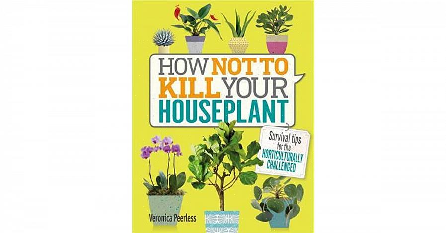 Door een philodendron hetzelfde water te geven als een echeveria