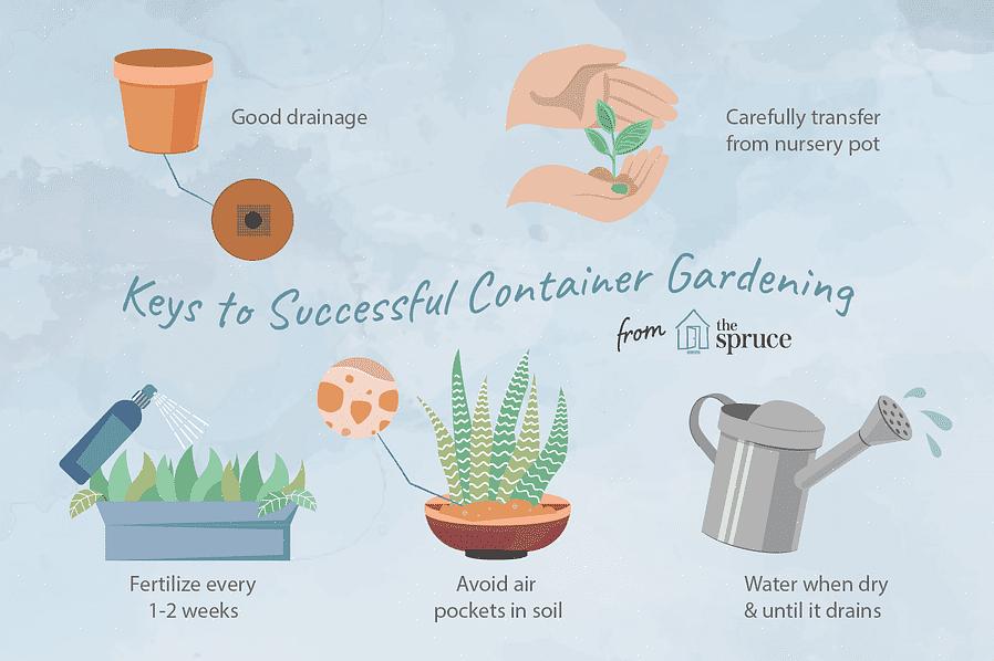 Is door een meststof met langzame afgifte door de potgrond te mengen voordat u de container plant