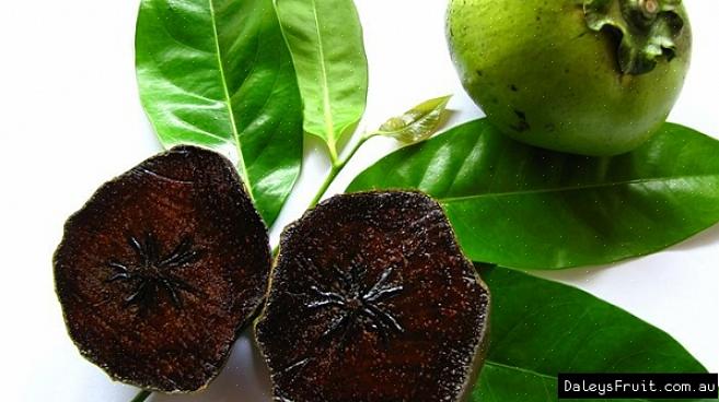 Ik heb het geluk gehad om een zwarte sapote te proberen