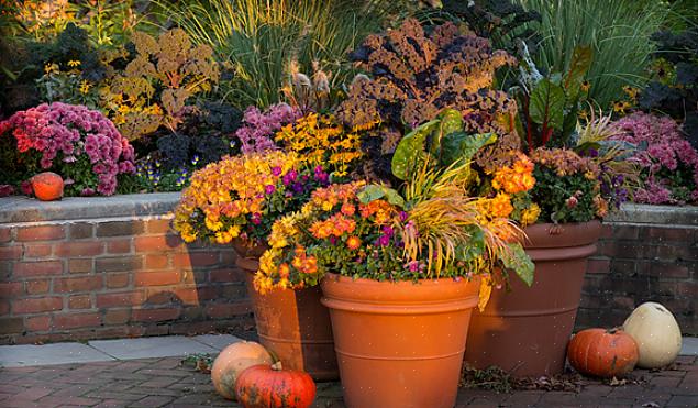 Herfst is een goed moment om te experimenteren met textuur