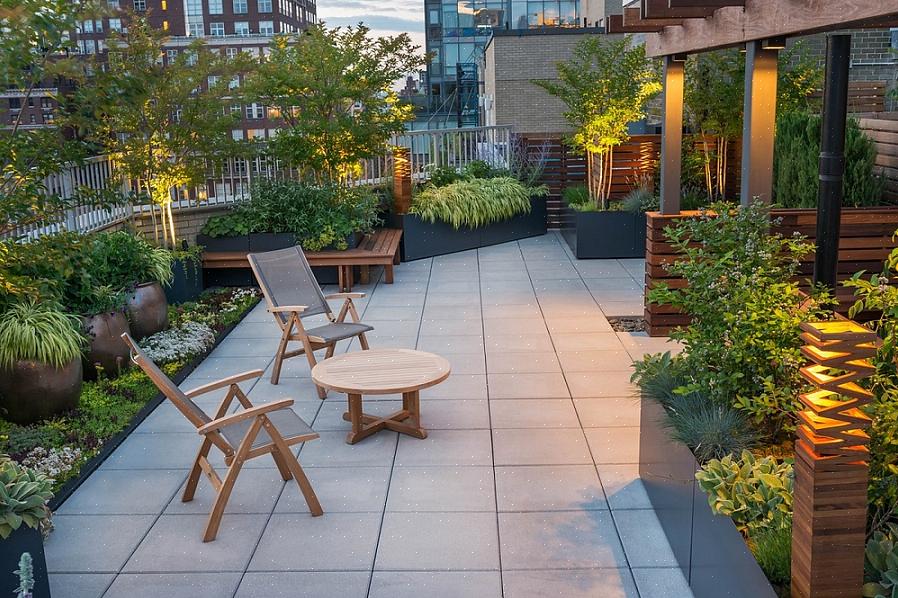 Een goede keuze voor planten op het dak zijn planten met een beperkt wortelstelsel