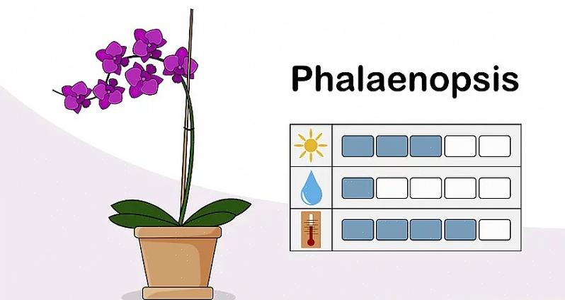 Is het een goede aanvulling op de potmix voor orchideeën die er niet van houden om hun wortels te verstoren