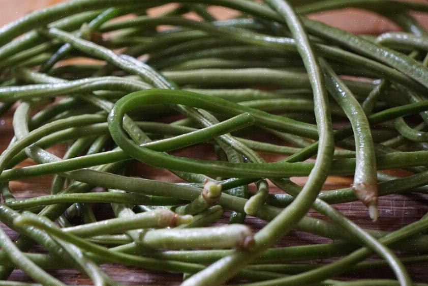 Ze zijn de boon die traditioneel wordt gebruikt voor de Chinese groene bonenschotel die op veel Chinese