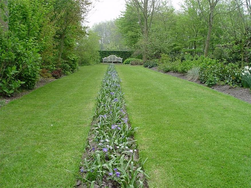 Geluid is geen element dat vaak in overweging wordt genomen bij het ontwerpen van een tuin