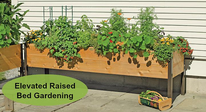 Geeft The Grow Box planten een constante toevoer van vocht