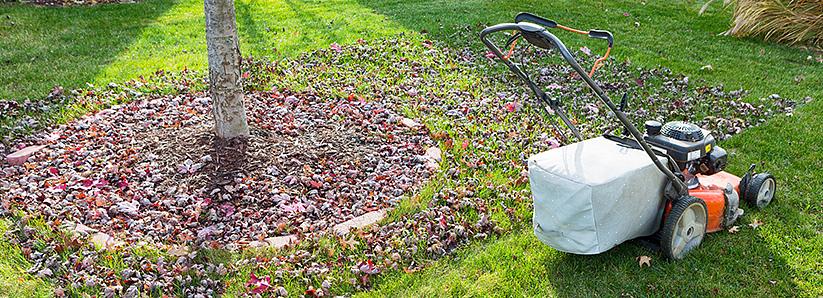 Bladeren in een mulchbak worden anders behandeld dan bladeren in een compostbak