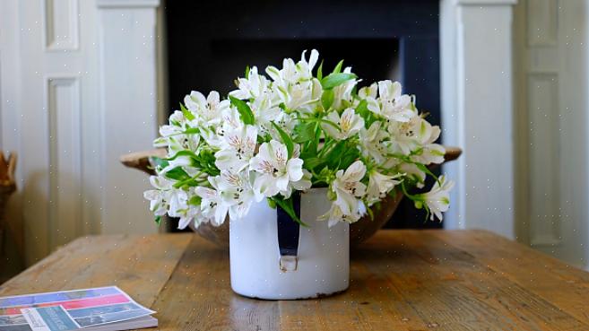 De feng shui-uitdaging met een gedroogde bloem is om zijn energie fris