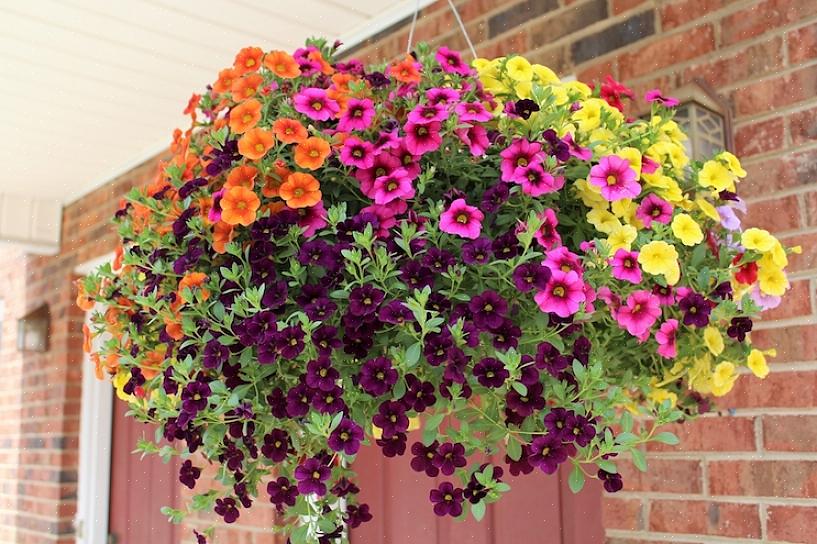 Om hanging baskets vochtig te houden