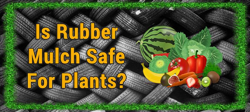 Rubbermulch (het type dat soms in speeltuinen wordt gebruikt) kan erg aantrekkelijk zijn voor bepaalde