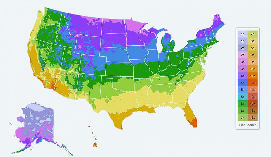 Bevindt zich in de USDA Plant Hardiness Zones 7a