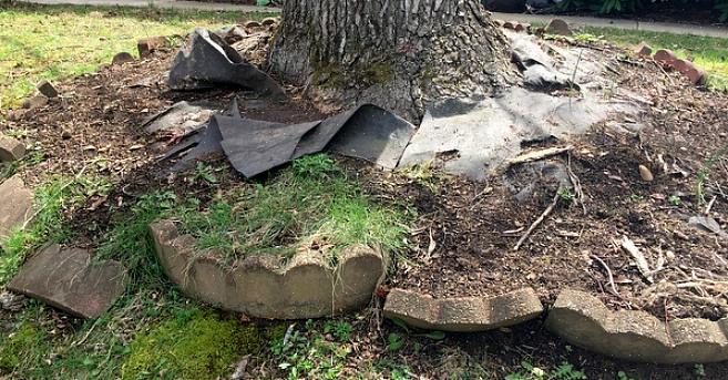 Maar het plotseling bedekken van blootliggende boomwortels met voldoende aarde om een tuin te beginnen