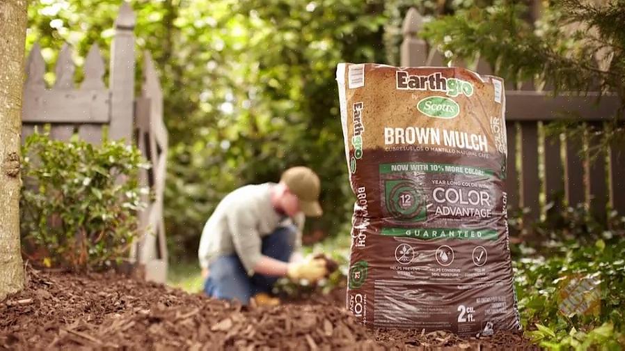 Dankzij het fenomeen van "gekleurde" mulch
