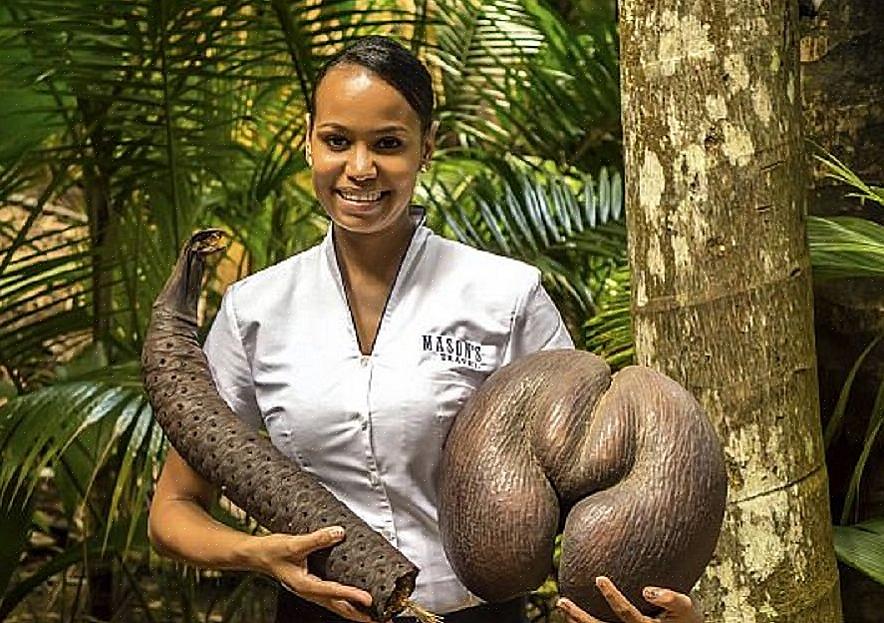 Het coco de mer-zaadje is enorm en zwaar