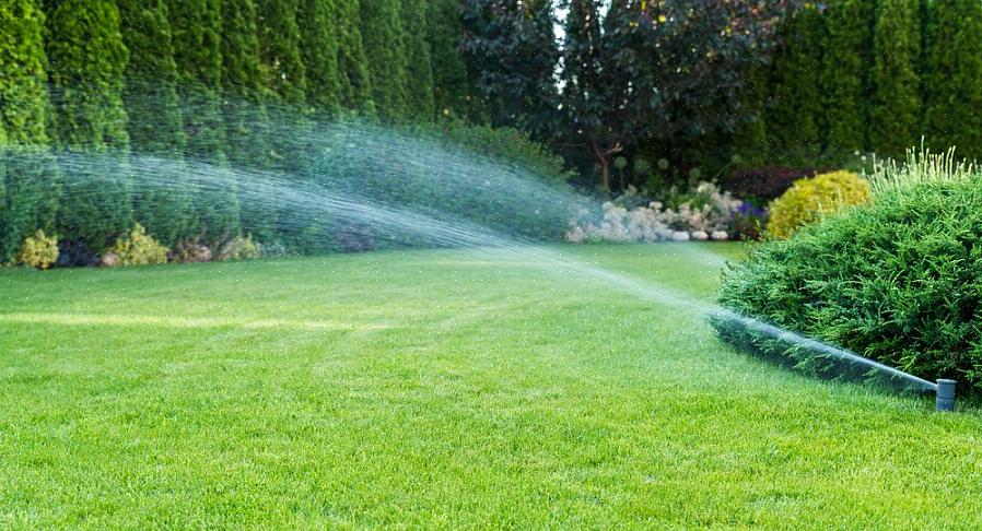 Maar de voordelen van particuliere waterputten gaan verder dan geld besparen op uw waterrekening