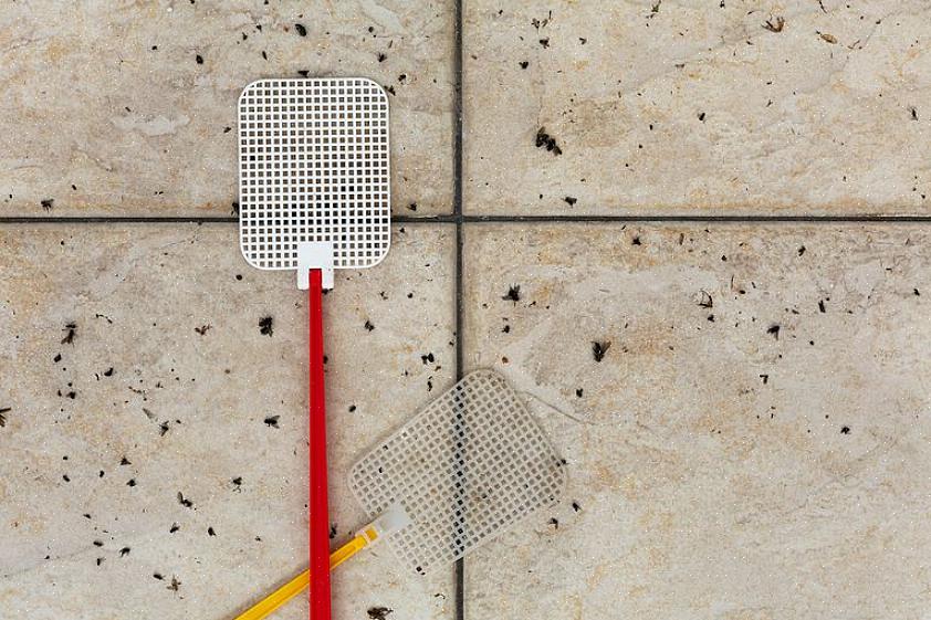 Ander ongedierte deze winter uit uw huis te houden