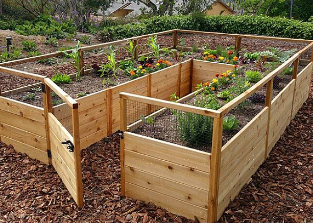 Wijnstokken of andere planten die door konijnen worden bedreigd