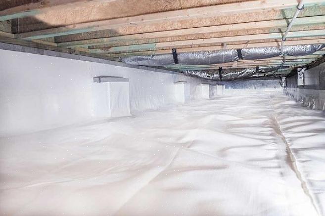 Als een direct bijproduct van vocht in de kruipruimte kan schimmel de isolatie van de vloerholte