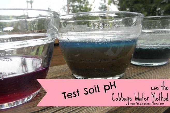 Technisch gezien meet een pH-test (potentiële waterstof) in de bodem hoeveel waterstofionen er in de bodem