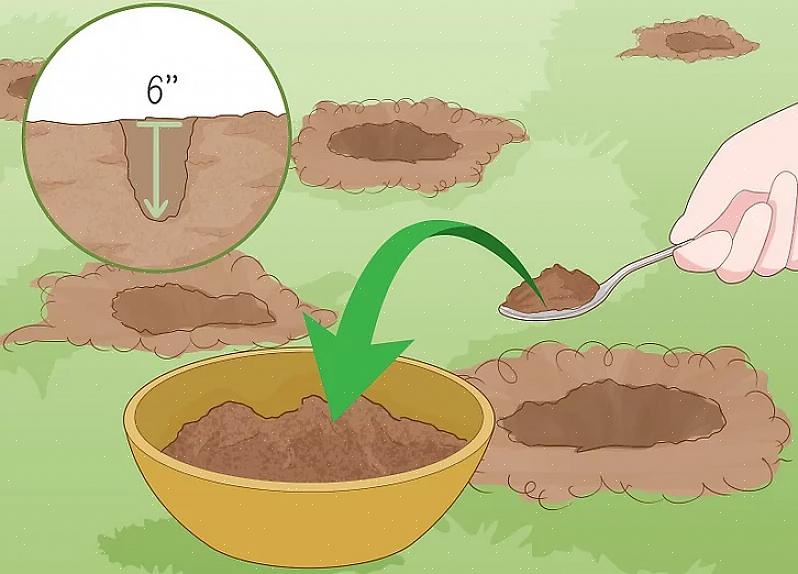 De meeste planten kunnen zich aanpassen aan de pH van de bodem die varieert van 6 tot 7,5
