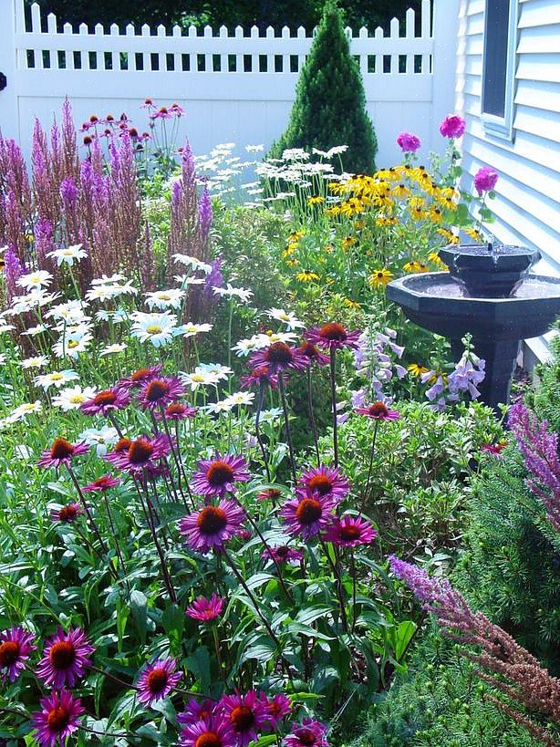 Verschillen duidelijk van cottage gardens