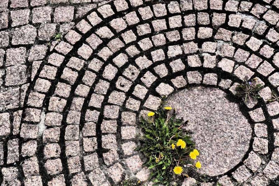 Bakstenen bestrating is een veel aantrekkelijker bestratingsoppervlak dan gestort beton