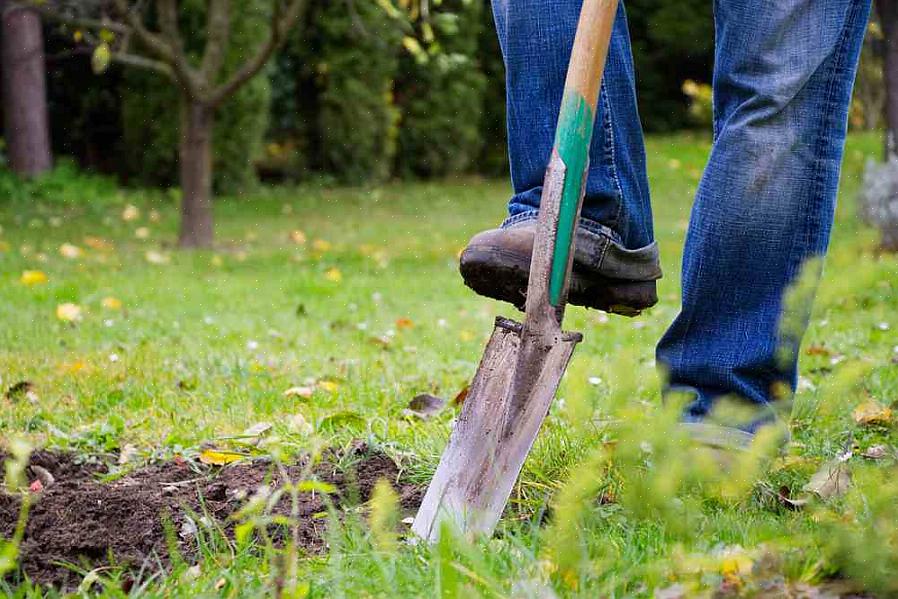 Er zijn particuliere locatiediensten die uw eigendom tegen betaling inspecteren