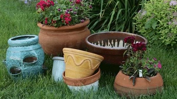 Kiest u planten voor "halfschaduw / halfschaduw"