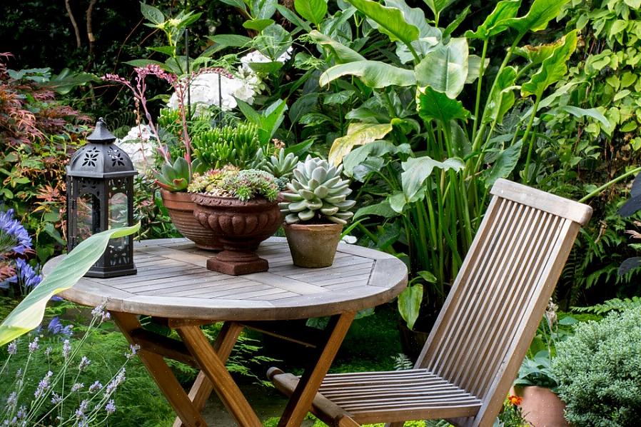 Hoe minder planten u erin kunt hebben