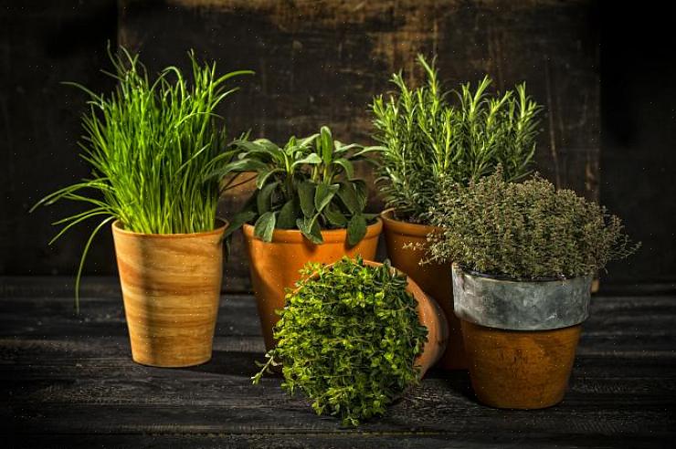 Er zijn de 3 basismanieren om etherische oliën te gebruiken voor een goede feng shui-energie