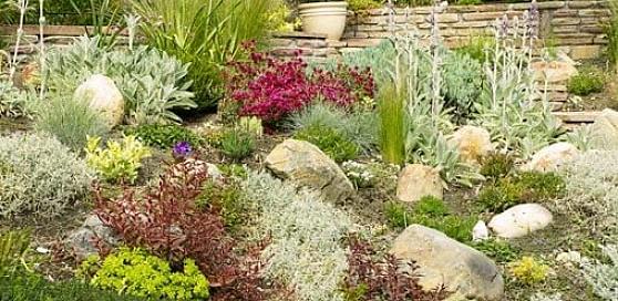 "xeriscaping" zijn termen die worden gebruikt om een landschapsstijl te schetsen die droogtetolerante