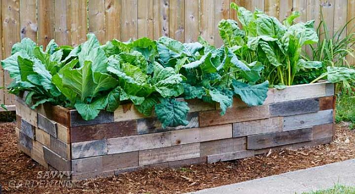 Om te beginnen moet de grond in uw moestuin rijk zijn aan organisch materiaal