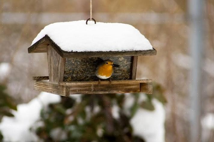 Fly-through platform feeders zijn bijzonder goede ontwerpen voor het voeren van wintervogels