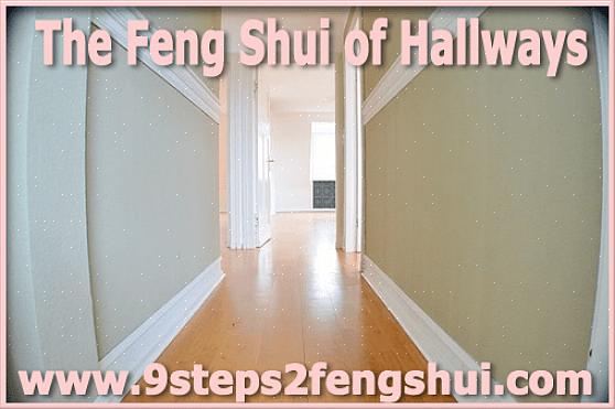De reden dat de feng shui van een lange