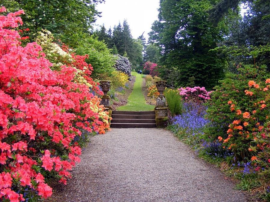 Er is nog een reden om verstandige plantenselectie uit te oefenen bij het kiezen van een boom