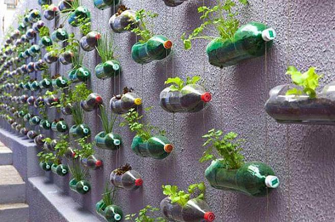 Hebben een plastic zeepflesje omgetoverd tot een chique plantenbak