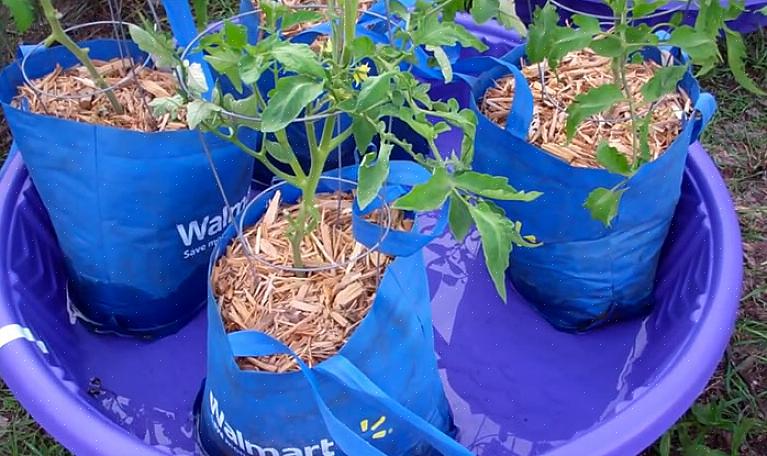 Een informele tuinplanter gemaakt van een hard plastic kinderzwembad is erg goedkoop
