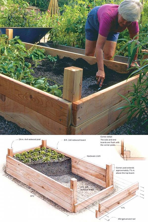 Worden ze naar de plaats van het verhoogde tuinbed gebracht
