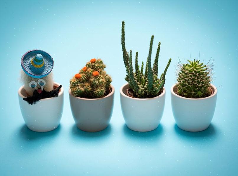 De sleutel is om de juiste container